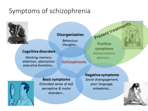 Schizophrenia – alamaya, Fondation pour la recherche sur la schizophérine